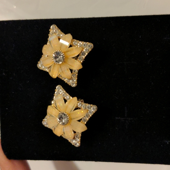 Earrings - Picture 1 of 3